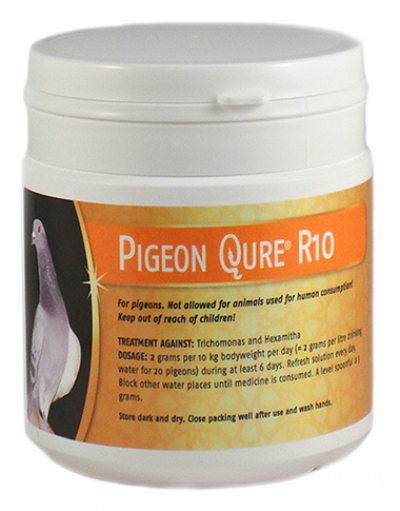 PigeonQure R10 Export