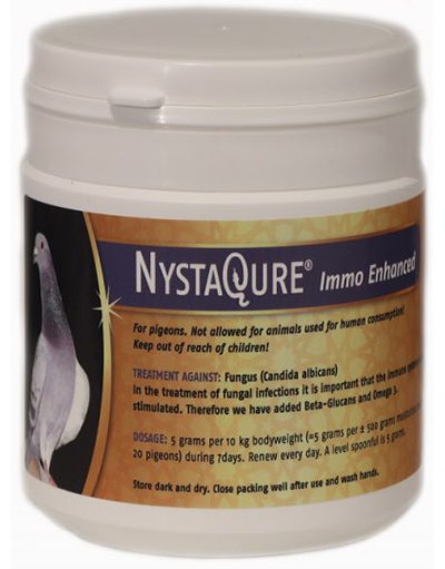 NystaQure Immo - Enhanced Export