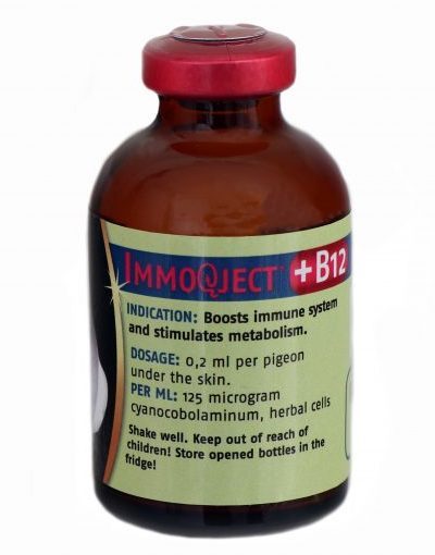 ImmoQject + B12